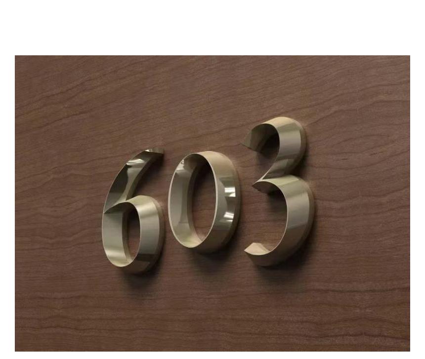 三維門(mén)牌號(hào)數(shù)字603(圖1)